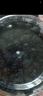 方家鋪?zhàn)由］馗?00g/瓶 六星桑椹干大果均≥2cm黑桑葚子泡水枸杞泡酒禮物 曬單實(shí)拍圖