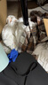 帕蘭朵【聚乳酸抗菌】冰絲無(wú)痕內褲女士10A抑菌桑蠶絲性感蝴蝶結4條L 曬單實(shí)拍圖