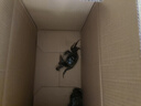 【活蟹】湖鮮陽(yáng)澄 大閘蟹 去繩足重 2.3-2.6兩 8只 鮮活六月黃現貨超大螃蟹水產(chǎn)禮盒裝 曬單實(shí)拍圖