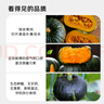 京覓山東貝貝南瓜 凈重4.5斤 單果300g起 板栗香小南瓜 源頭直發(fā) 曬單實拍圖