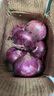 京鮮生 河南紫紅皮洋蔥凈重5斤單果200g+ 現挖新鮮蔬菜 源頭直發(fā)包郵 曬單實(shí)拍圖