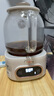 美的（Midea）全玻璃養(yǎng)生壺 辦公室燒水壺 家用多功能煮茶壺 花茶煮茶器 迷你小型電熱水壺 圍爐煮茶壺 【0膠水】YS10B101 1L 曬單實拍圖