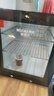 德瑪仕（DEMASHI）食品留樣柜 學(xué)校幼兒園公司食堂用水果蔬菜保鮮留樣冰箱保鮮柜冷藏展示柜 LG-50LA1【雙鎖設(shè)計】 曬單實拍圖