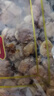 特大高州正宗老樹桂圓肉特一級(jí)新鮮桂圓干廣東茂名睡眠無核500g 500 曬單實(shí)拍圖