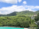 薇姿（VICHY）去油瓶控油洗發(fā)水男士女士通用無硅油清爽蓬松洗頭膏洗發(fā)露200ml 曬單實拍圖