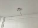 雙盟綠蘿盆栽除甲醛花卉綠植辦公室新房凈化空氣 120款10盆源頭直發(fā) 曬單實拍圖