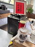 華碩全家桶14600KF主機RTX5060Ti主機 ITX主機手提電腦游戲直播ROG全家桶組裝主機組裝電腦組裝臺式機 配一丨14400F+RTX5060 曬單實拍圖