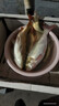 龍王恨魚(yú)餌藍鯽青春版腥香餌料江河黑坑野釣鯽鯉草鳊魚(yú)魚(yú)食小肽蛋白餌料 一袋裝【迅速上魚(yú)】 曬單實(shí)拍圖
