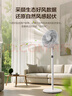 艾美特（AIRMATE）【智能遙控】七葉家用大風(fēng)量落地扇電風(fēng)扇臺(tái)式空氣循環(huán)小風(fēng)扇6檔暴風(fēng)定時(shí)電扇高清屏顯 FS30-R99 曬單實(shí)拍圖