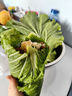 林中山【順豐發(fā)貨】新鮮大白菜葉東北農家蔬菜包飯包葉子蘸醬菜現摘現發(fā) 白菜葉20片+醬（順豐陸運） 曬單實(shí)拍圖