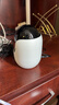 普聯(lián)（TP-LINK）800萬(wàn)4K全彩智能攝像頭家用無(wú)線 室內(nèi)監(jiān)控器360度全景夜視手機(jī)遠(yuǎn)程呼叫通話寶寶寵物看護(hù) IPC48DW 曬單實(shí)拍圖