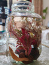 瘋狂水草（FKSC）真水草魚(yú)缸造景套餐凈化水質(zhì)懶人魚(yú)缸水草植物直接入缸蜈蚣草 【火山石】紅紅火火組合3棵 曬單實(shí)拍圖