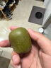 靜益樂源紅心果奇異果 紅心獼猴桃 新鮮水果四川 24個單果70-90g 曬單實拍圖