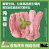【萌寵專(zhuān)享】新鮮兔內臟兔心兔腎兔肝兔肉兔里脊寵物生骨肉貓糧 四拼【兔里脊兔腎兔心兔肝各250g 曬單實(shí)拍圖