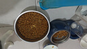 狼弈凍干貓零食雞肉粒雞胸肉營(yíng)養增肥發(fā)寵物狗狗貓咪零食毛重660g大桶 桶裝凍干雞肉粒660g 曬單實(shí)拍圖