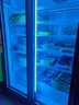 BAKDASH全屏立式冷凍展示柜速凍食品冷凍柜海鮮肉類低溫柜速凍柜大容量冰柜商用超市冷柜 Pro丨-18~-22℃丨雙門 曬單實(shí)拍圖