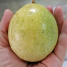 京鮮生 黃金百香果 2斤裝 約13-15粒 單果約70g 酸甜欽蜜 生鮮水果 曬單實(shí)拍圖