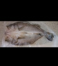 仙泉湖三去白蕉海鱸魚1斤/條凈膛冷凍刺少肉厚珠海特產(chǎn)500g生鮮食材 曬單實(shí)拍圖