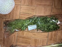 帶根香菜100g 曬單實(shí)拍圖