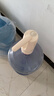 小熊（Bear）桶裝水抽水器 電動壓水器 自動吸水器 礦泉水上水器 飲水機抽水神器抽水泵 YSJ-D06H5 曬單實拍圖