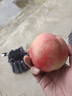 立邦 瓷磚空鼓劑修復(fù)地磚墻磚修補(bǔ)劑 專用膠強(qiáng)力粘合膠地磚起翹修復(fù) 1罐裝 (約施工約1.2㎡) 罐 曬單實拍圖