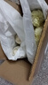 【超市品質(zhì)】新鮮精品娃娃菜現(xiàn)砍現(xiàn)發(fā)小包裝新鮮蔬菜生鮮產(chǎn)地直發(fā) 新鮮娃娃菜1*(3棵)*2包 曬單實(shí)拍圖