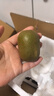 京覓 蒲江紅心獼猴桃奇異果24枚單果70-90g 生鮮水果現(xiàn)摘現(xiàn)發(fā)源頭直發(fā) 曬單實拍圖