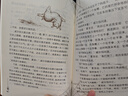 【團購更優(yōu)惠】夏洛的網(wǎng) 正版小學(xué)生非注音版任溶溶上海譯文6-12周歲兒童文學(xué)三四五六年級課外閱讀書(shū)籍 曬單實(shí)拍圖