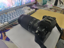 尼康（Nikon）【國行帶票】Z50II半畫幅新手入門級(jí)微單相機(jī)Z50 II 高清攝影攝像 直播美顏?zhàn)耘膠50二代便攜相機(jī) Z50II + 16-50+50-250雙頭套機(jī) 官方標(biāo)配【下單送屏幕膜+座 曬單實(shí)拍圖