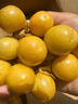 式果禮東北姑娘果【順豐速發(fā)】菇?jīng)龉S菇娘燈籠果姑鳥小金豆新鮮水果 9斤 精選果【單果7-9g】 曬單實(shí)拍圖