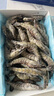 1號會(huì )員店 泰國活凍黑虎蝦 斑節對蝦 海鮮水產(chǎn) 凈重2斤（31-40只） 曬單實(shí)拍圖