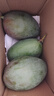 京鮮生 攀枝花凱特芒果 凈重4.5斤 帶箱5斤 單果400g+ 生鮮水果源頭直發(fā) 曬單實(shí)拍圖