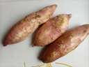 亨泰豐源（HENGTAIFENGYUAN）新鮮紅薯 蜜薯鮮挖現(xiàn)發(fā) 沙地地瓜 紅苕新鮮蔬菜流油地瓜 9斤新鮮蜜薯 曬單實(shí)拍圖