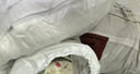 無(wú)印良品全棉被褥學(xué)生六件套（三件套+枕芯套+被芯+床褥）被子寢室上下鋪 曬單實(shí)拍圖
