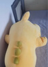 小豬佩奇書包幼兒園雙肩包毛絨玩具2歲卡通小背包開學(xué)女孩生日禮物 曬單實(shí)拍圖
