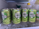 綠力 冬瓜茶涼茶飲料 0脂肪 冬瓜汁果蔬汁 臺灣風(fēng)味飲品 整箱易拉罐裝 【清爽解膩】冬瓜茶/24罐 曬單實(shí)拍圖