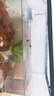 闊庭（KUOTING）魚(yú)缸懶人魚(yú)缸家用客廳辦公室水培吊籃金魚(yú)缸過(guò)濾魚(yú)缸黑色款 曬單實(shí)拍圖