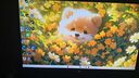 華碩（ASUS）ROG超神X OLED PG32UCDMR 國(guó)家補(bǔ)貼15% 32英寸顯示器4K電競(jìng)顯示器 240Hz 內(nèi)置KVM 真10bit PG32UCDMR 4K240Hz OLED屏 曬單實(shí)拍圖
