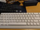 邁從（MCHOSE）Ace 68/60Pro磁軸鍵盤(pán) RT電競游戲客制化機械有線(xiàn)連接全鍵熱插拔雙驅動(dòng)無(wú)畏契約 Ace 68 電競版 白色 藍冰磁軸 曬單實(shí)拍圖