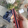 天語(yǔ)（K-TOUCH）T2老年人手機4G全網(wǎng)通超長(cháng)待機直板按鍵大字體大聲音大屏學(xué)生專(zhuān)用備用功能機易操作老人機 紅色 曬單實(shí)拍圖