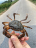 傳世家徽（Muceski） 炒鍋316L不銹鋼炒菜鍋無(wú)涂層平底炒鍋電磁爐煤氣燃氣用烹飪鍋具 32無(wú)涂層316L內徑30外徑 32cm 曬單實(shí)拍圖