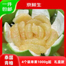 京鮮生 泰國青柚 青皮白心蜜柚 巨大果4粒禮盒 單果1000g+ 源頭直發(fā)包郵 曬單實(shí)拍圖