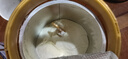 貝因美菁愛(ài)1段嬰兒配方奶粉0-6個(gè)月 800g*2罐 發(fā)育消化吸收 益生菌+DHA 曬單實(shí)拍圖