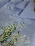 真維斯（JEANSWEST）淺綠色長(cháng)袖t恤女春秋款2025新款田園風(fēng)外穿大碼打底衫純棉上衣 曬單實(shí)拍圖