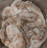 鴻順八爪魚1斤裝 去牙鮮活速凍小章魚 火鍋食材 生鮮凍品 曬單實(shí)拍圖