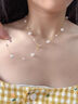 伊燦長(cháng)款滿(mǎn)天星仿珍珠項鏈女2025年新款爆款頸鏈輕奢精致高級感鎖骨鏈 長(cháng)款滿(mǎn)天星珍珠項鏈 曬單實(shí)拍圖