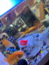 森森（SUNSUN）自動(dòng)喂食器魚(yú)缸智能喂魚(yú)器烏龜自動(dòng)投食器水族箱金魚(yú)定時(shí)投喂 普通款簡(jiǎn)配（不含大食盒及漏斗） 自動(dòng)定時(shí)喂食器+2節電池 曬單實(shí)拍圖