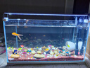 森森 超白玻璃小魚(yú)缸HWK-600P裸缸款水草缸金魚(yú)缸小型水族箱水草缸  曬單實(shí)拍圖