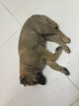 寵樂(lè)乖（CHONGLEGUAI）狗籠貓籠狗籠子中小型犬帶廁所幼犬折疊便攜貓籠子貓咪兔籠700ZG 曬單實(shí)拍圖