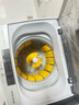奧克斯（AUX）全自動(dòng)免拆鞋帶洗鞋機家用宿舍小型懶人刷鞋神器 洗脫一體擦鞋機洗襪機鞋衣兩用洗鞋機刷鞋機 100款【雙動(dòng)力洗脫】13壁刷+風(fēng)干+底刷 曬單實(shí)拍圖